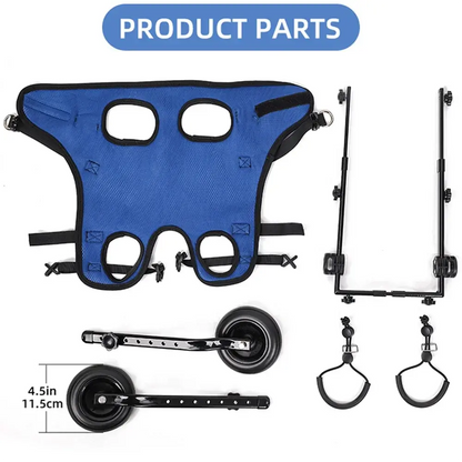 Canine Co Dog Wheelchair | Adjustable Injury Rehabilitation Aid