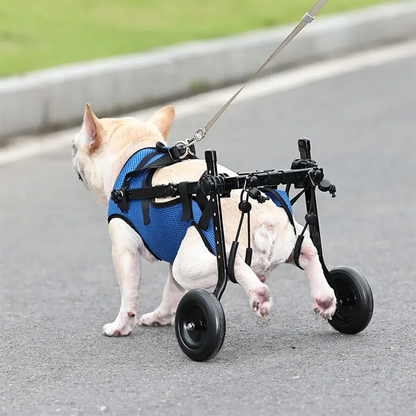 Canine Co Dog Wheelchair | Adjustable Injury Rehabilitation Aid