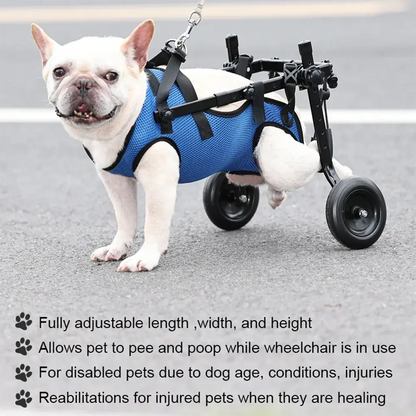 Canine Co Dog Wheelchair | Adjustable Injury Rehabilitation Aid