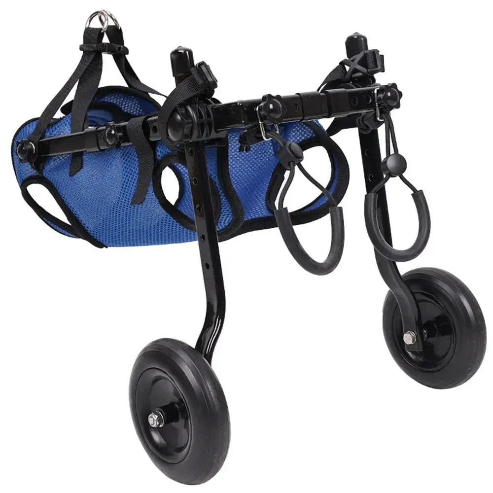 Canine Co Dog Wheelchair | Adjustable Injury Rehabilitation Aid