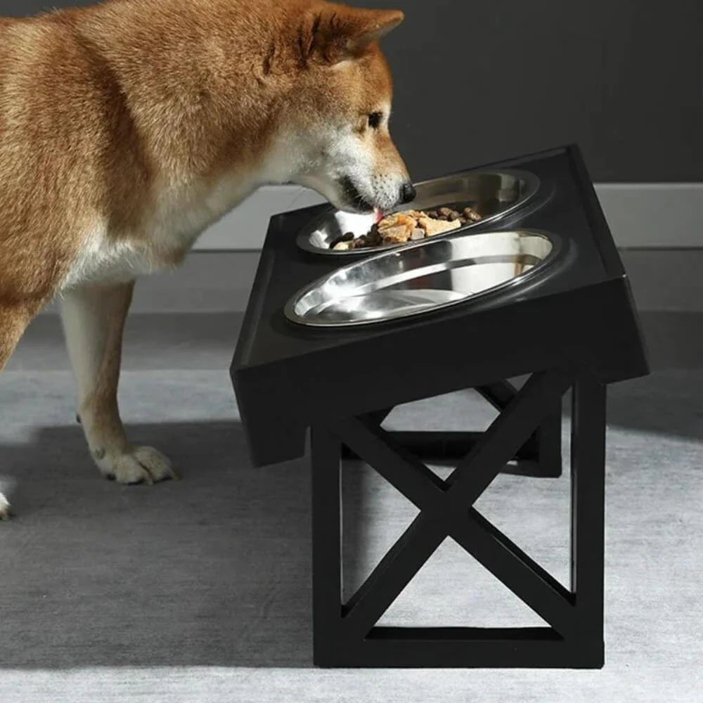 Canine Co Elevated Dog Bowl With Adjustable Height and Slow Feeder