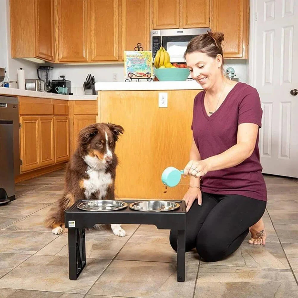 Canine Co Elevated Dog Bowl With Adjustable Height and Slow Feeder