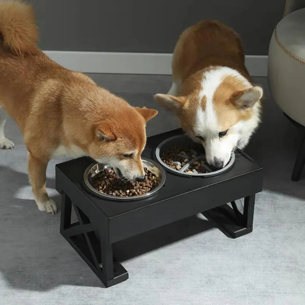 Canine Co Elevated Dog Bowl With Adjustable Height and Slow Feeder