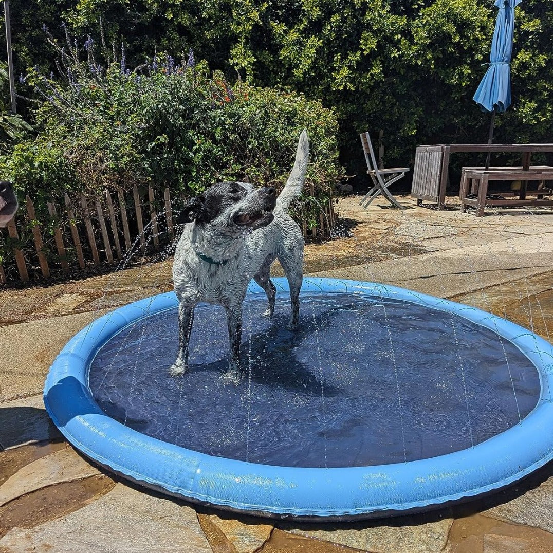 CanineCool™ - Make Your Dog’s Day with a Splash