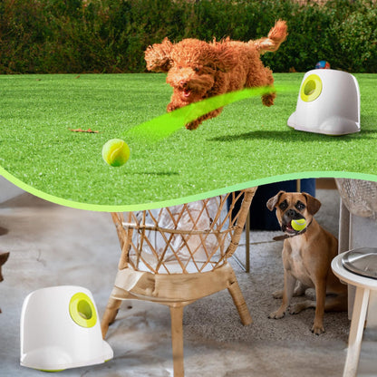 Canine Co Automatic Ball Launcher | Dog Toy Tennis Ball Launcher