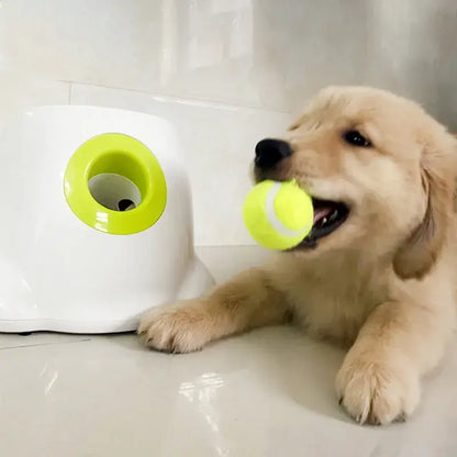 Canine Co Automatic Ball Launcher | Dog Toy Tennis Ball Launcher